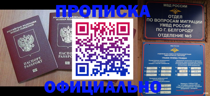 найти адрес прописки в Знаменске